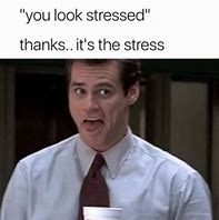 Image result for Chronic Stress Meme