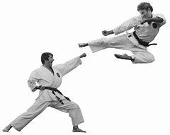 Image result for Karate Side Kick