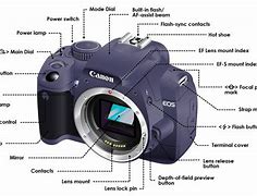 Image result for Sony New DSLR Cameras