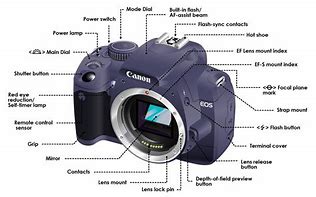 Image result for Canon DSLR Camera Lenses