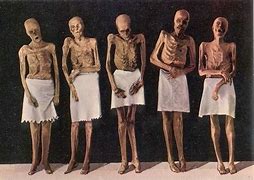 Image result for The Mysterious Strange Mummies of Venzone