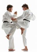 Image result for Karate Strikes and Blocks