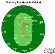 Image result for Cricket Field Placements