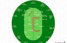 Image result for Cricket Pitch with Players
