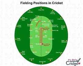 Image result for Cricket Ground Fielding Positions
