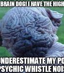 Image result for Big Brain Dog Meme