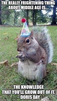Image result for Humorous Birthday