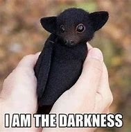 Image result for Bat Meme I AM the Darkness