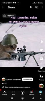 Image result for Cat with Gun Meme
