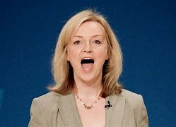 Image result for Liz Truss Angry