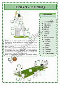 Image result for Cricket Activity Sheet