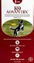 Image result for Embedded Tick On Dog