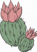 Image result for Blooming Cactus Clip Art