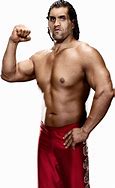 Image result for Great Khali Fight