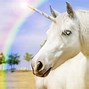 Image result for Information of Unicorn Horse