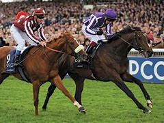 Image result for 5 Horse Race