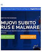 Image result for Malwarebytes Anti-Malware Free Download