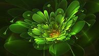 Image result for Green Flower iPhone Wallpaper