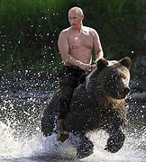 Image result for Vladimir Putin On a Bear