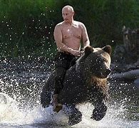 Image result for Vladimir Putin Funny