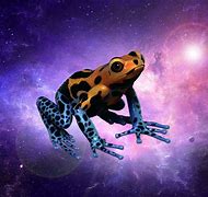 Image result for Galaxy Frog Athstetic