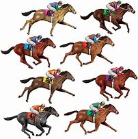 Image result for Horse Racing Saturday Cards