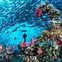 Image result for Famous Wrecks