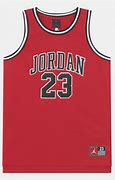 Image result for Who Wears 23 in the NBA