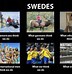 Image result for Funny Sweden