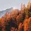 Image result for Apple iPhone Fall Wallpaper