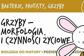 Image result for co_oznacza_Żywe_organizmy