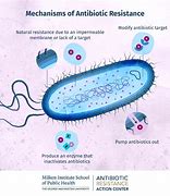 Image result for Antibiotics Resistance Wallpapers