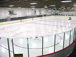Image result for Home Ice Hockey Rink