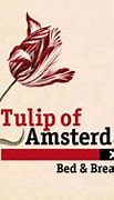Image result for Tulips of Amsterdam