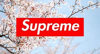 Image result for Supreme Screensaver