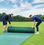Image result for backyard cricket pitch