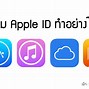 Image result for Apple Identification