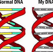 Image result for Meme About Getting DNA