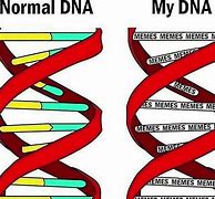 Image result for DNA Sample Meme