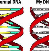 Image result for ADN Memes