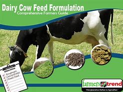 Image result for Dairy Cow Feed Formulation