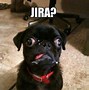 Image result for JIRA Mental Health Meme