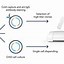 Image result for Cell Developing Process Illustration