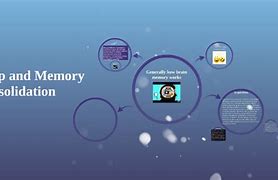 Image result for Sleep and Memory Consolidation