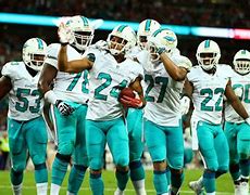 Image result for Miami Dolphins Team