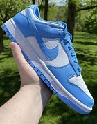 Image result for Nike Dunks Colors