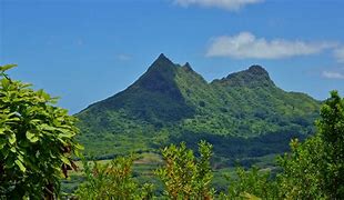 Image result for Sharp Hawaii