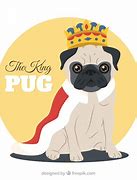 Image result for King Pug Costume