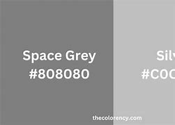 Image result for Black or Space Gray