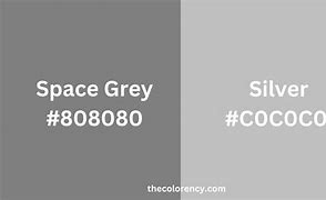 Image result for Space Gray or Silver
